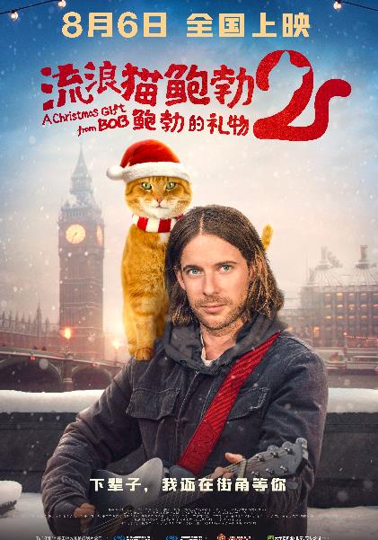 《流浪猫鲍勃2:鲍勃的礼物》定档8月6日 鲍勃猫延续最后的温暖
